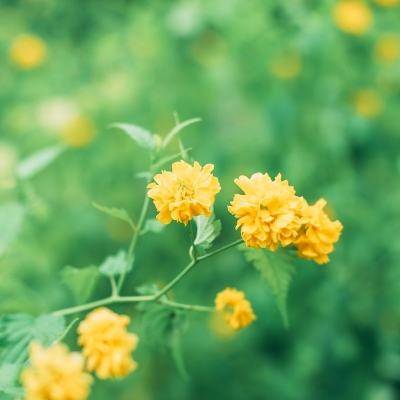 仙剑情侠传在线玩下载