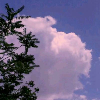 激战暴风要塞官方